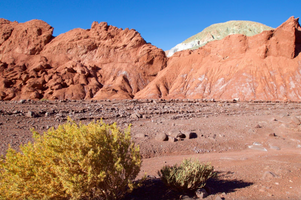 Captura de pantalla 2025-03-28 110121 Captura de pantalla 2025-03-28 110121