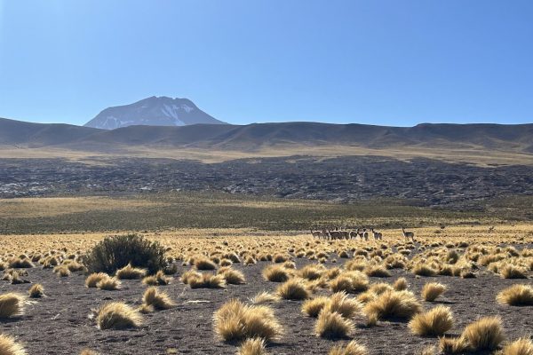 agregaren-piedrasrojas22